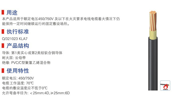 450-750v及以下聚氯乙烯绝缘耐火电线-01.jpg