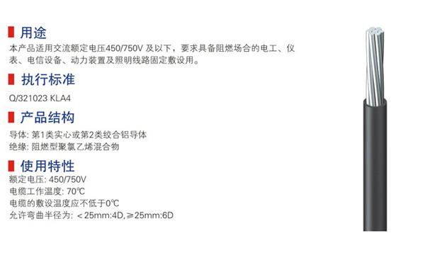 450-750v及以下阻燃型聚氯乙烯绝缘电线-02.jpg