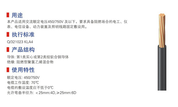 450-750v及以下阻燃型聚氯乙烯绝缘电线-05.jpg